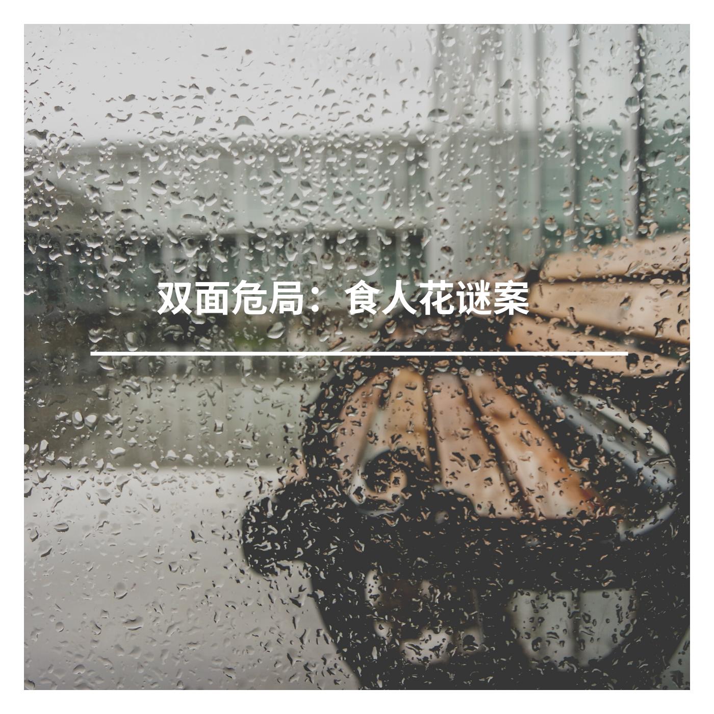 双面危局：食人花谜案