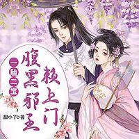 一胎二宝, 腹黑邪王赖上门