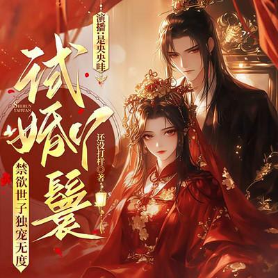 试婚丫鬟，禁欲世子独宠无度
