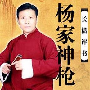 杨家神枪
