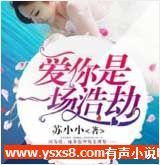 爱你是一场浩劫