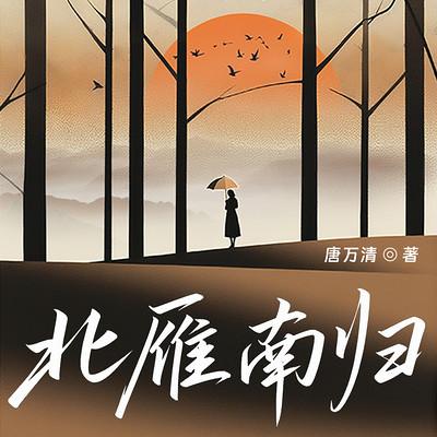 北雁南归