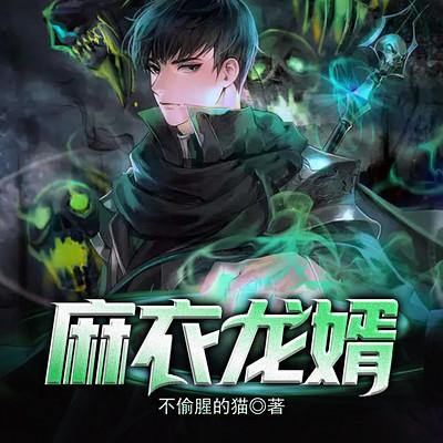 麻衣龙婿