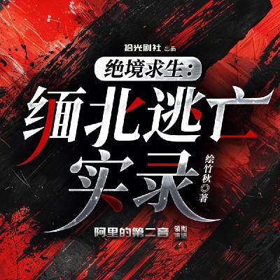绝地求生：缅北逃亡实录