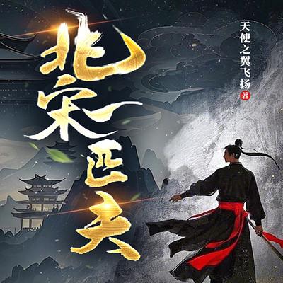 北宋一匹夫