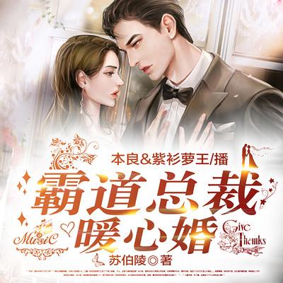 霸道总裁暖心婚