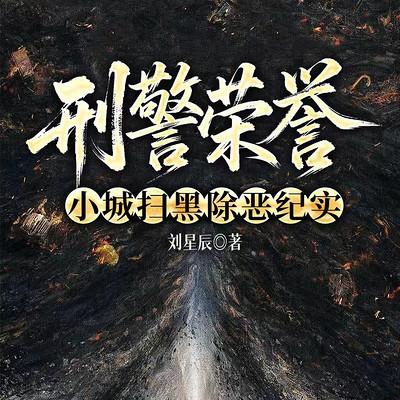 刑警荣誉：小城扫黑除恶纪实