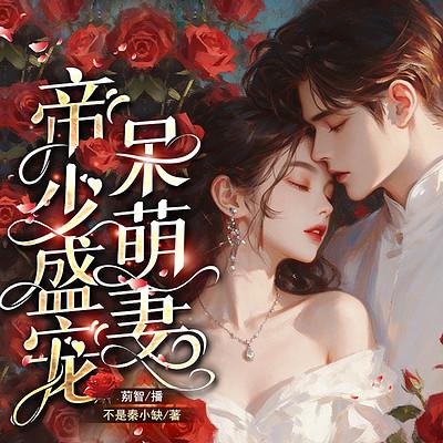 帝少盛宠呆萌妻